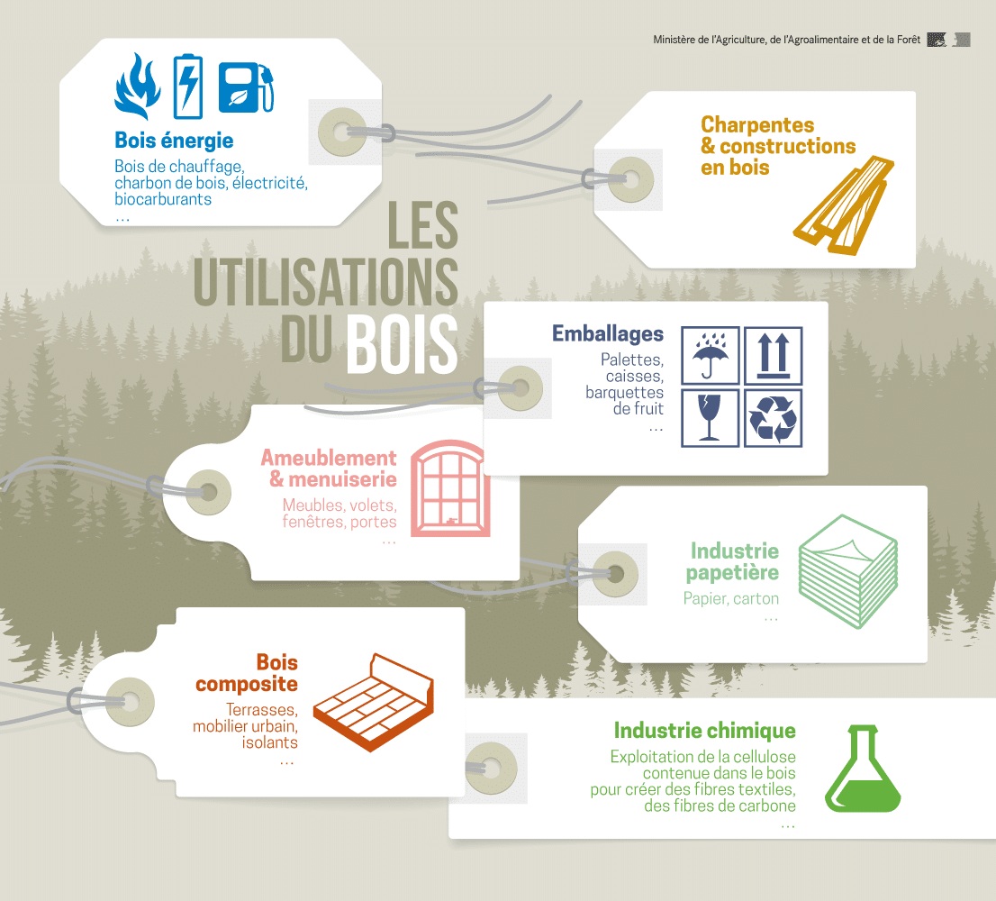 Zoom sur l’industrie du bois emplois, chiffre d'affaires, impact...