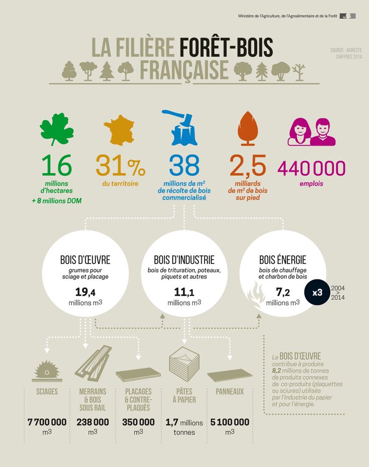 Focus et infographies sur l&rsquo;industrie du bois