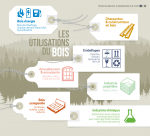 Focus et infographies sur l&rsquo;industrie du bois