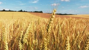 Le point sur la réglementation en matière d&rsquo;équipements de protection individuelle