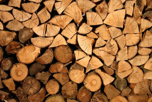 Focus sur 3 transformations du bois en France